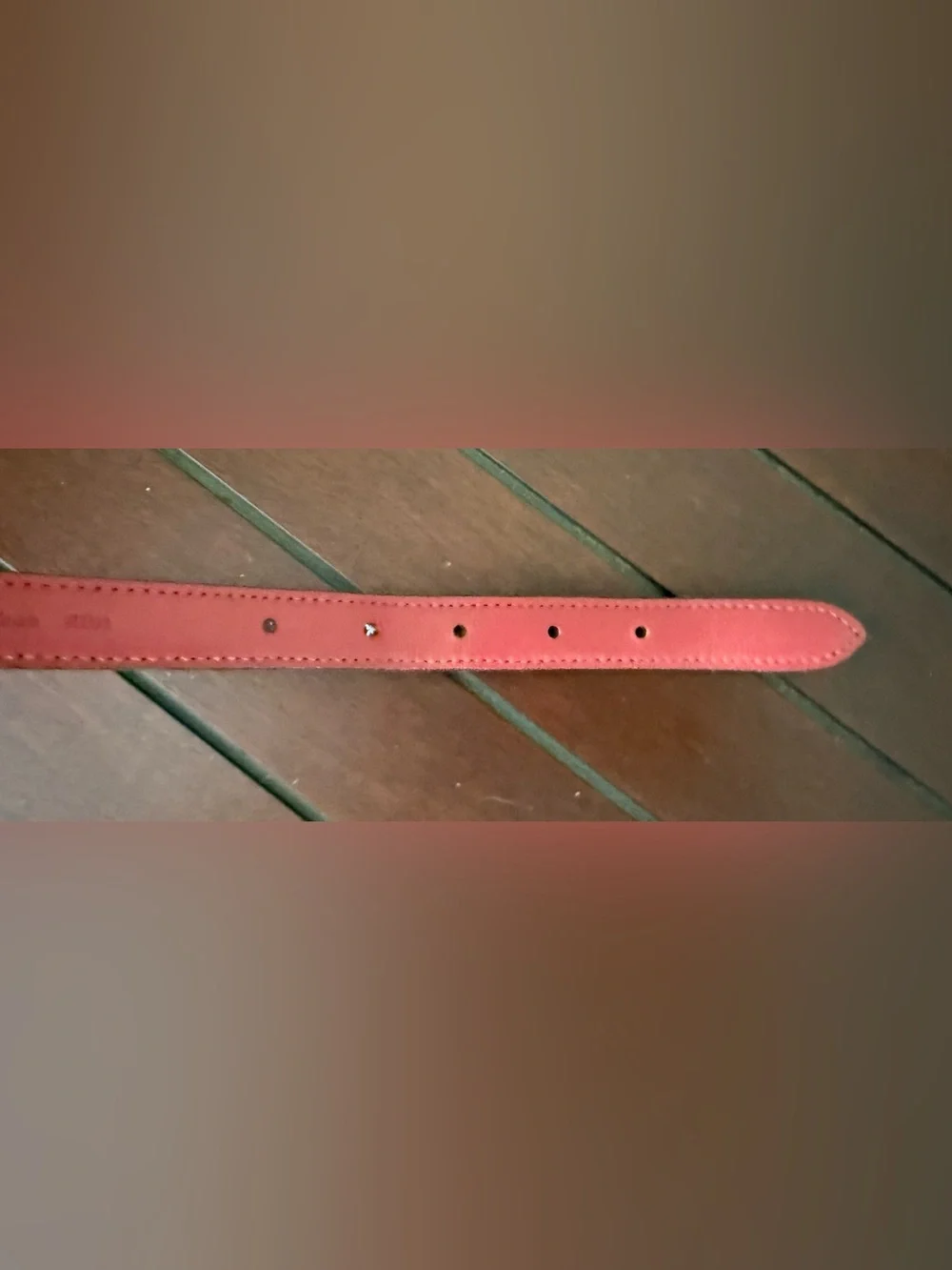 Coach Dog Collar in Signature coated Canvas and smooth Leather Size S